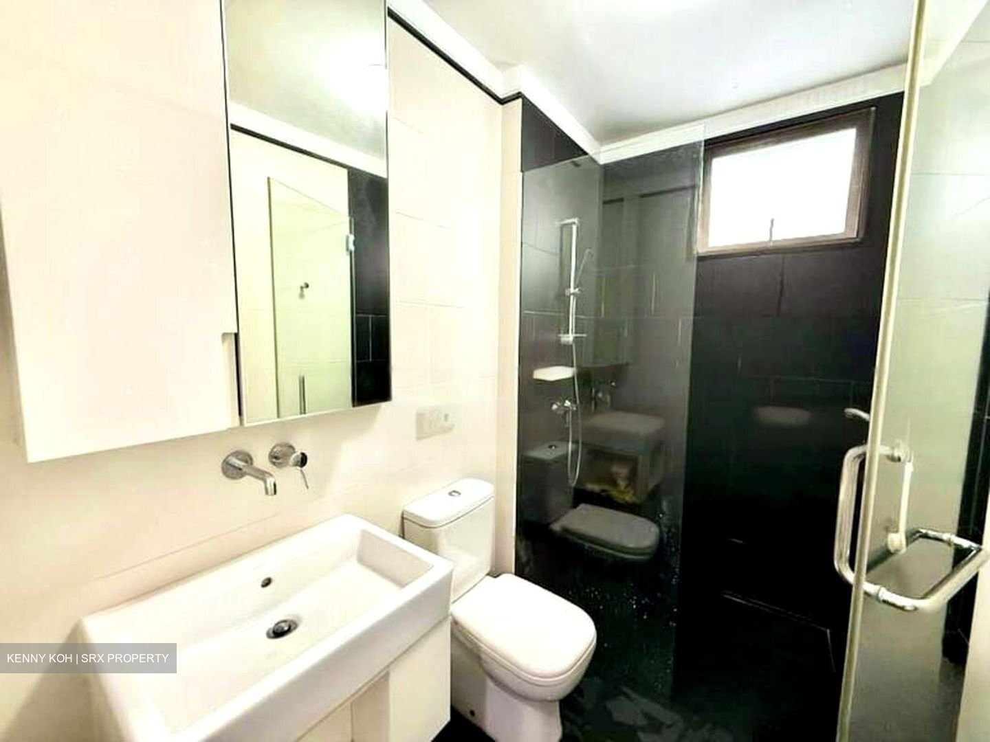 Village @ Pasir Panjang (D5), Condominium #456319271